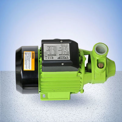 Cast Iron Head  60L/Min 1HP Peripheral Pump，The max head and flow support highly efficient work